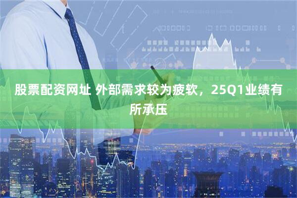 股票配资网址 外部需求较为疲软,25Q1业绩有所承压