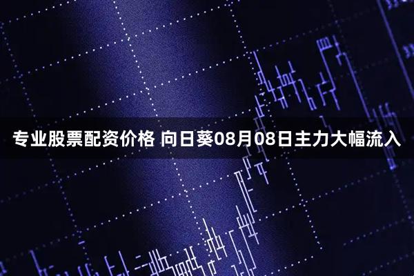 专业股票配资价格 向日葵08月08日主力大幅流入