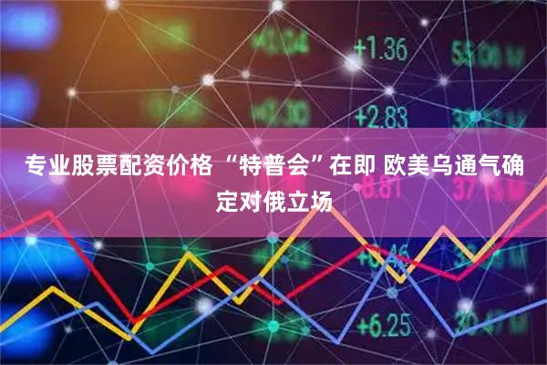 专业股票配资价格 “特普会”在即 欧美乌通气确定对俄立场